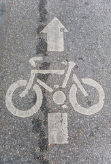 Bicycle Road to the Park