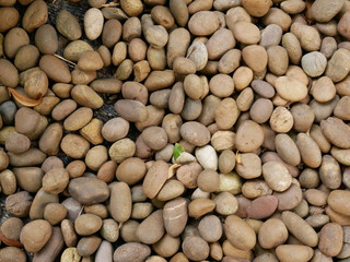 rock texture,stone background,pebbles on the beach