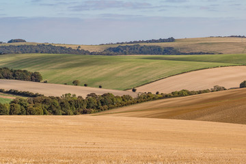 Fototapeta na wymiar Rolling countryside in the South Downs, on a sunny autumn day