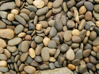 background of stones,pebble texture in garden