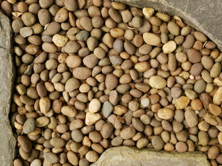 background of stones,pebble texture in garden