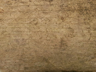 Fototapeta premium 100-letnie drewno