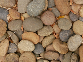 brown stone in garden,pebbles on the beach