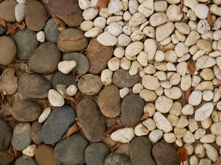 rock floor in garden,pebbles on the beach,stone background
