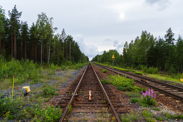 Empty railroad tracks running in the middle of a forest outside Hanko Finland