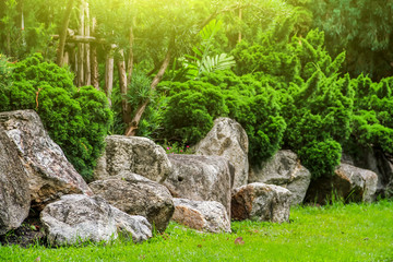 A green natural background garden.