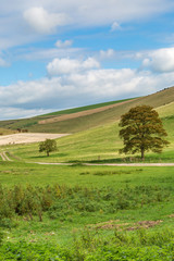 Fototapeta na wymiar A view of a South Downs landscape in Sussex, during Autumn