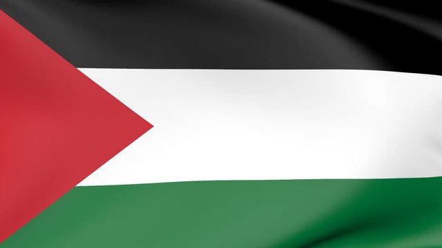 flag of palestine  waving animation