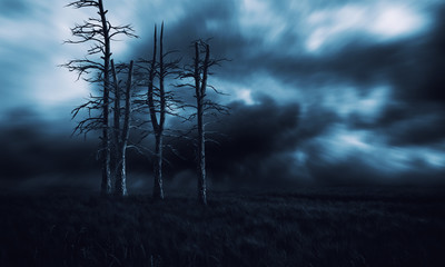 Creepy Dead Trees Night background.