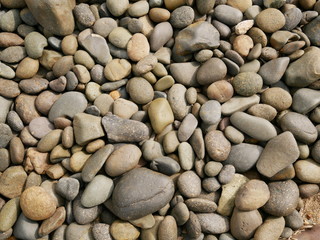 rock stone in garden,pebbles on the beach