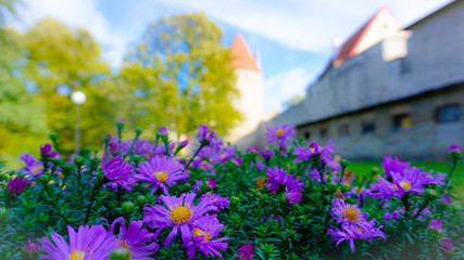 The Baltic country Estonia