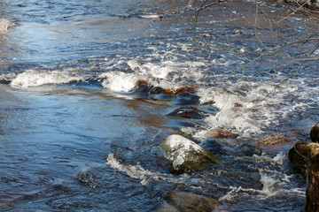 River rapids with rocks in early spring