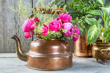 Pink roses in old copper brass kettle and green plants