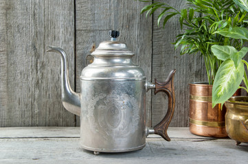 Old silver kettle and green plants