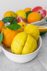 Citrus fruits on plate. Oranges, grapefruits and lemons with leaves. 