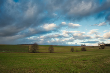 Wiesenlandschaft im Herbst