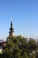 Obraz premium Linz alter Dom