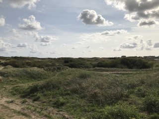 Obraz premium nationalpark in zaandvort aan zee view