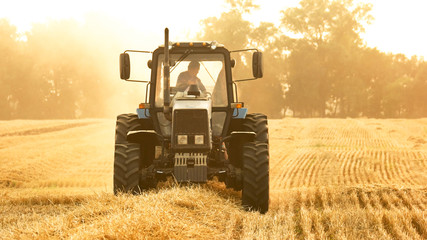 Obraz premium Agricultural work on the harvesting of hay by agricultural machinery. Tractor riding in a field in a yellow field.