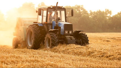 Tractor with trailer in summer on field. Harvesting wheat crop.