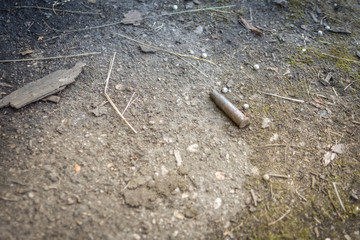 shell on the ground close-up
