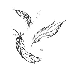 falling feather illustration