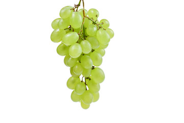 White bunch of grape on isolated white background
