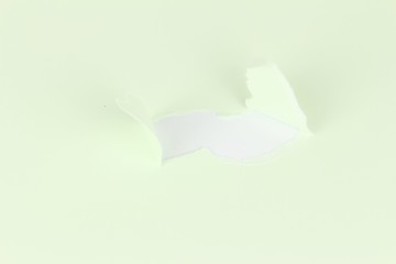 Lined sheet with oval hole, light green