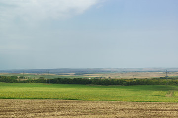 Fototapeta na wymiar Agricultural fields in the Anapa region of the southern Krasnodar region
