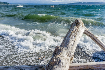 Driftwood And Shorebreak