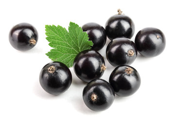 black currant with leaf isolated on white background