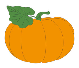 vegetables and fruits pattern color, vector