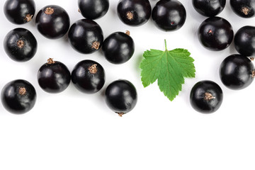 black currant with leaves isolated on white background with copy space for your text. Top view. Flat lay pattern