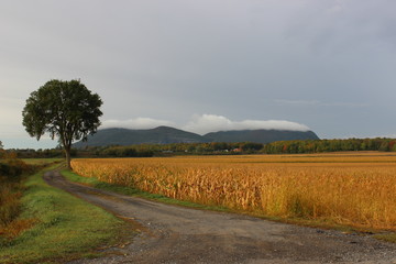 Mont-St-Hilaire in Early Fall