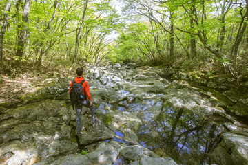 Obraz premium A Hallasan Park on Jeju Island in South Korea
