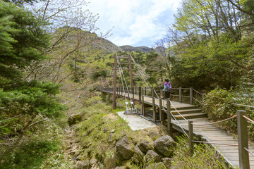 Fototapeta na wymiar A Hallasan Park on Jeju Island in South Korea