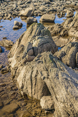 Empty Rocky Coastal Scene, Montevideo, Uruguay