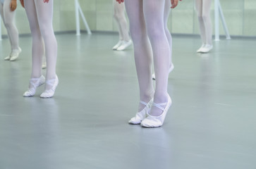 closeup legs of little ballerinas group in white shoes practicing in ballet school, slow motion. Young girls training classical dance exercise. Childhood, dancing, lifestyle concept
