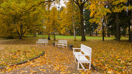 Autumn season in the city