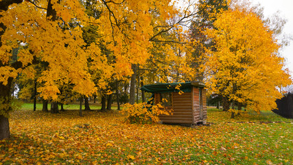 Autumn season in the city