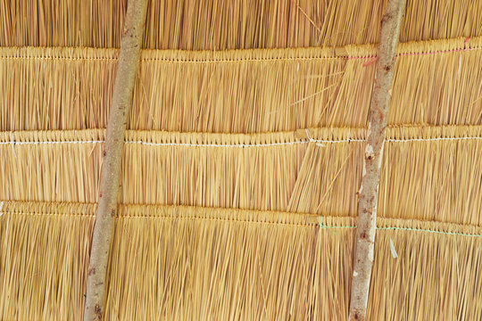 close up of thatched roof