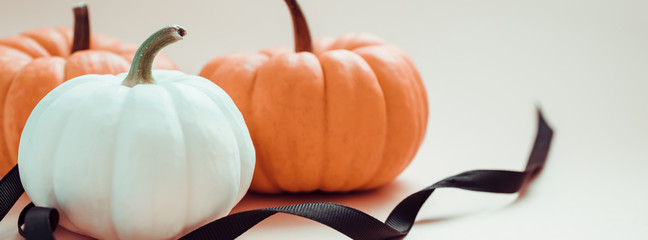 Autumn orange and white pumpkins with black ribbon