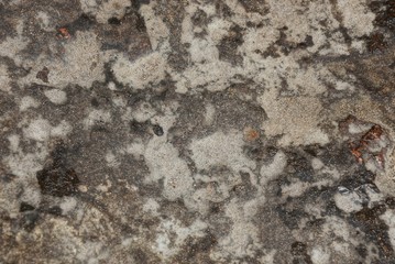gray stone texture from dirty old concrete wall