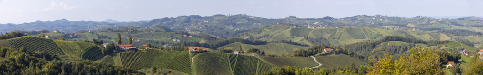 panoramic view vineyard along the south Styrian vine route named suedsteirische weinstrasse in...