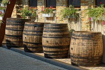 a row of brown wooden barrels stand on the sidewalk near the wall with flowerpots and windows