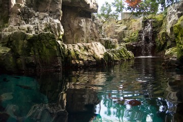 A small pond with plants, branches and rocky mountains and cliffs