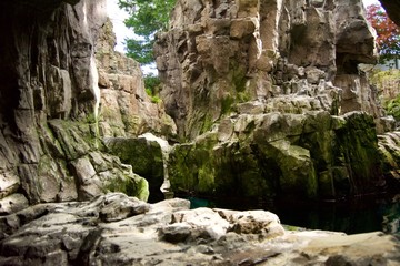 A small pond with plants, branches and rocky mountains and cliffs
