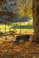 Herrenchiemsee Park in Autumn