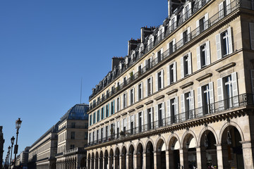 Fototapeta na wymiar Rue de Rivoli à Paris, France