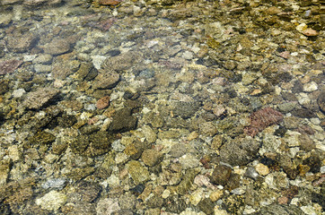 Colorful small unique pebbles in cold clear river water. Sun make different reflection. Smoоth and ribbed pebbles. Small stones.